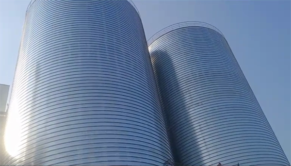 英州镇2座混凝土高架卷板仓